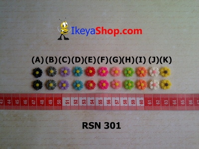 rsn 301  large2
